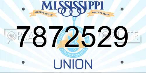 7872529 Mississippi License Plate