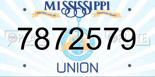7872579 Mississippi License Plate