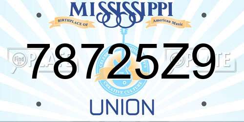 78725Z9 Mississippi License Plate