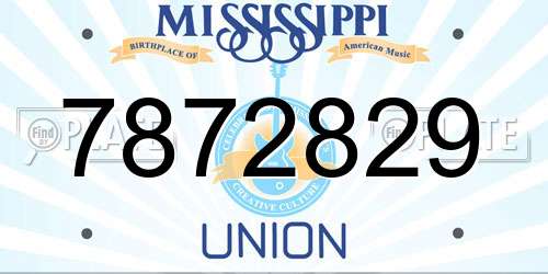 7872829 Mississippi License Plate