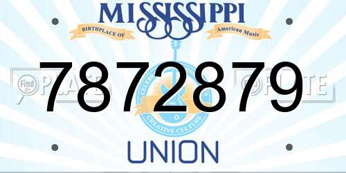 7872879 Mississippi License Plate