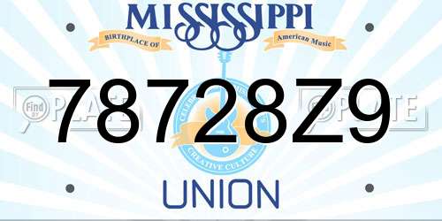 78728Z9 Mississippi License Plate