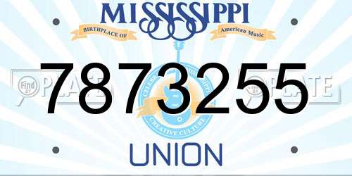 7873255 Mississippi License Plate