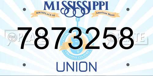7873258 Mississippi License Plate