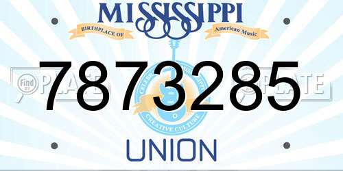 7873285 Mississippi License Plate