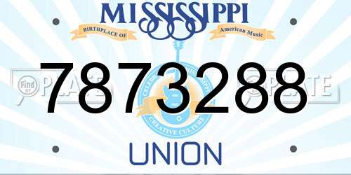 7873288 Mississippi License Plate