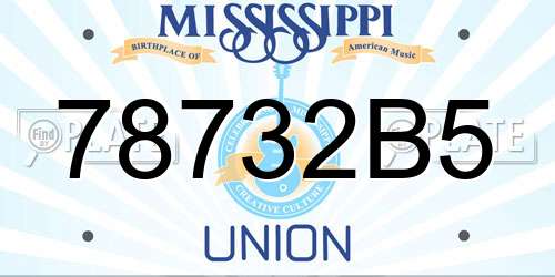 78732B5 Mississippi License Plate