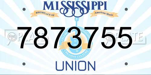 7873755 Mississippi License Plate