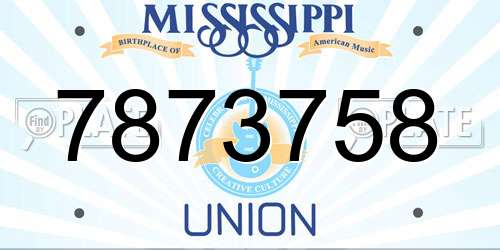 7873758 Mississippi License Plate