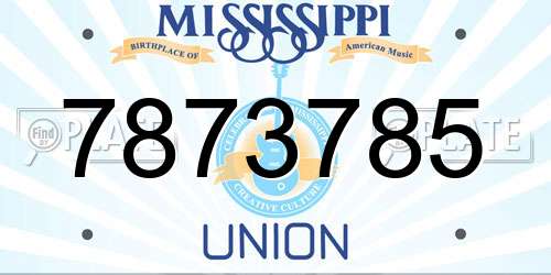 7873785 Mississippi License Plate