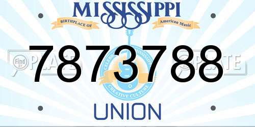 7873788 Mississippi License Plate