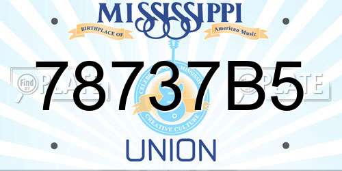 78737B5 Mississippi License Plate