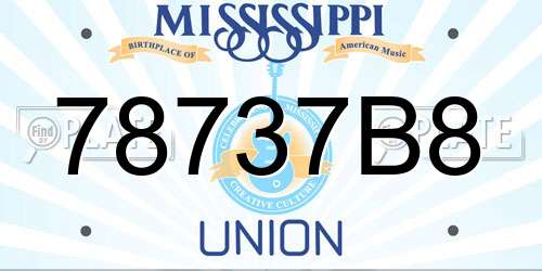 78737B8 Mississippi License Plate