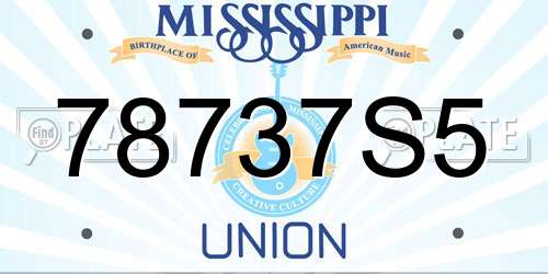 78737S5 Mississippi License Plate