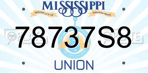 78737S8 Mississippi License Plate