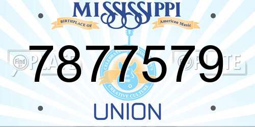 7877579 Mississippi License Plate