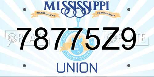 78775Z9 Mississippi License Plate