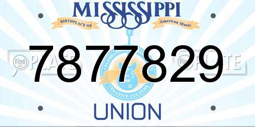7877829 Mississippi License Plate