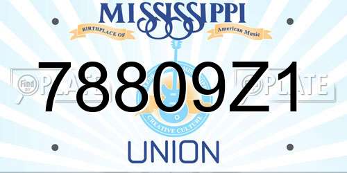 78809Z1 Mississippi License Plate