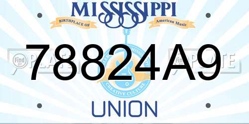 78824A9 Mississippi License Plate