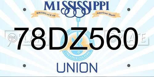 78DZ560 Mississippi License Plate