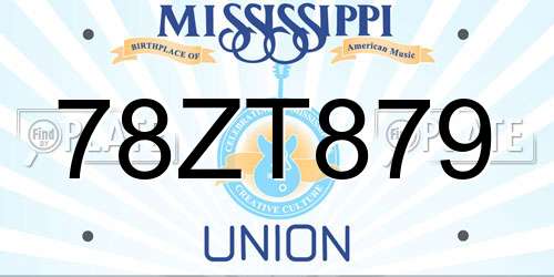 78ZT879 Mississippi License Plate