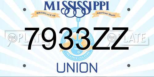 7933ZZ Mississippi License Plate