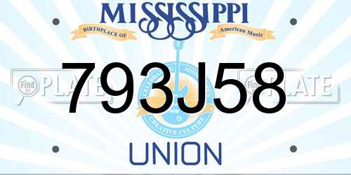 793J58 Mississippi License Plate