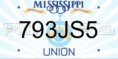 793JS5 Mississippi License Plate