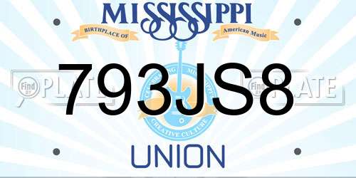 793JS8 Mississippi License Plate