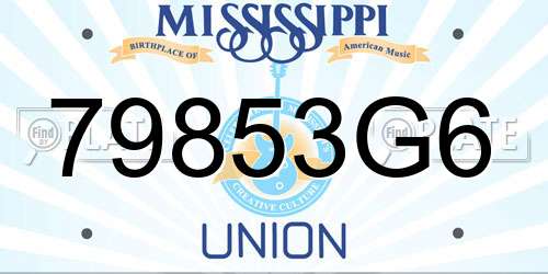 79853G6 Mississippi License Plate