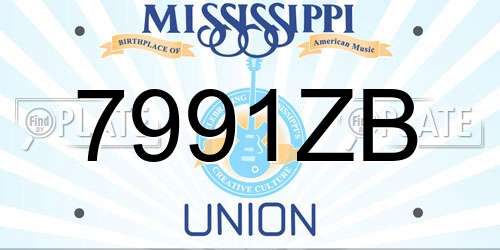 7991ZB Mississippi License Plate