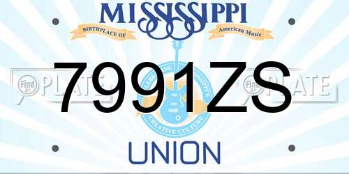 7991ZS Mississippi License Plate