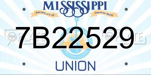 7B22529 Mississippi License Plate