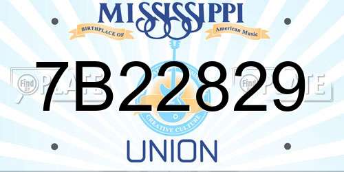 7B22829 Mississippi License Plate
