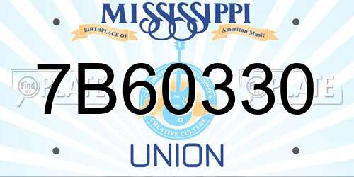 7B60330 Mississippi License Plate