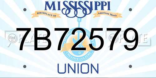 7B72579 Mississippi License Plate