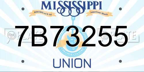 7B73255 Mississippi License Plate