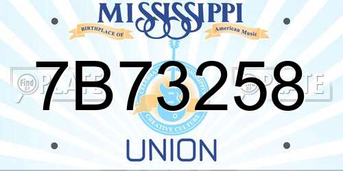 7B73258 Mississippi License Plate