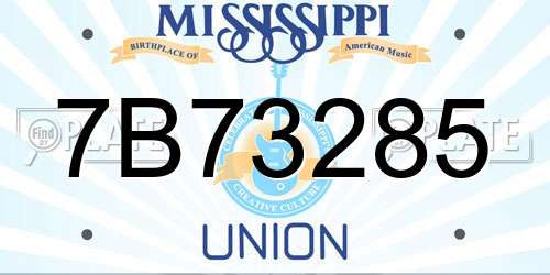7B73285 Mississippi License Plate