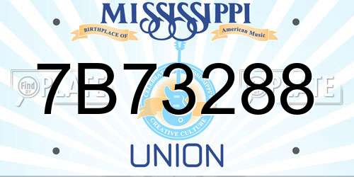 7B73288 Mississippi License Plate