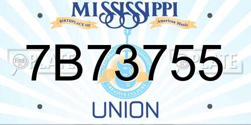 7B73755 Mississippi License Plate