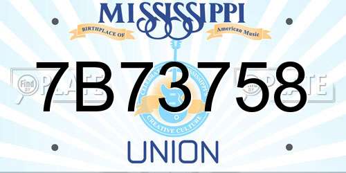 7B73758 Mississippi License Plate