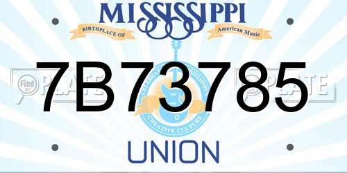 7B73785 Mississippi License Plate