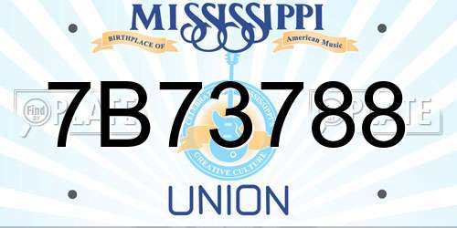 7B73788 Mississippi License Plate