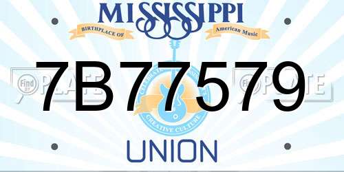 7B77579 Mississippi License Plate