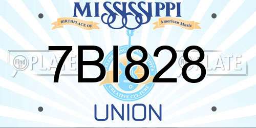 7BI828 Mississippi License Plate