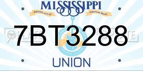 7BT3288 Mississippi License Plate