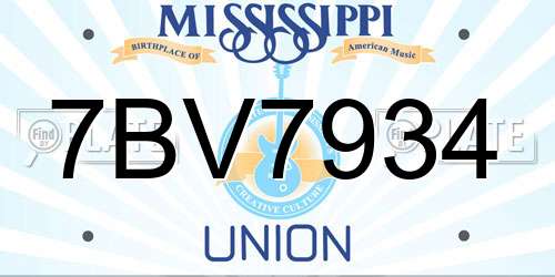 7BV7934 Mississippi License Plate