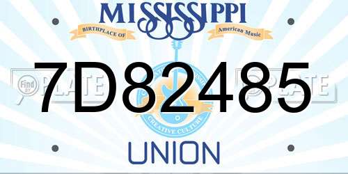 7D82485 Mississippi License Plate